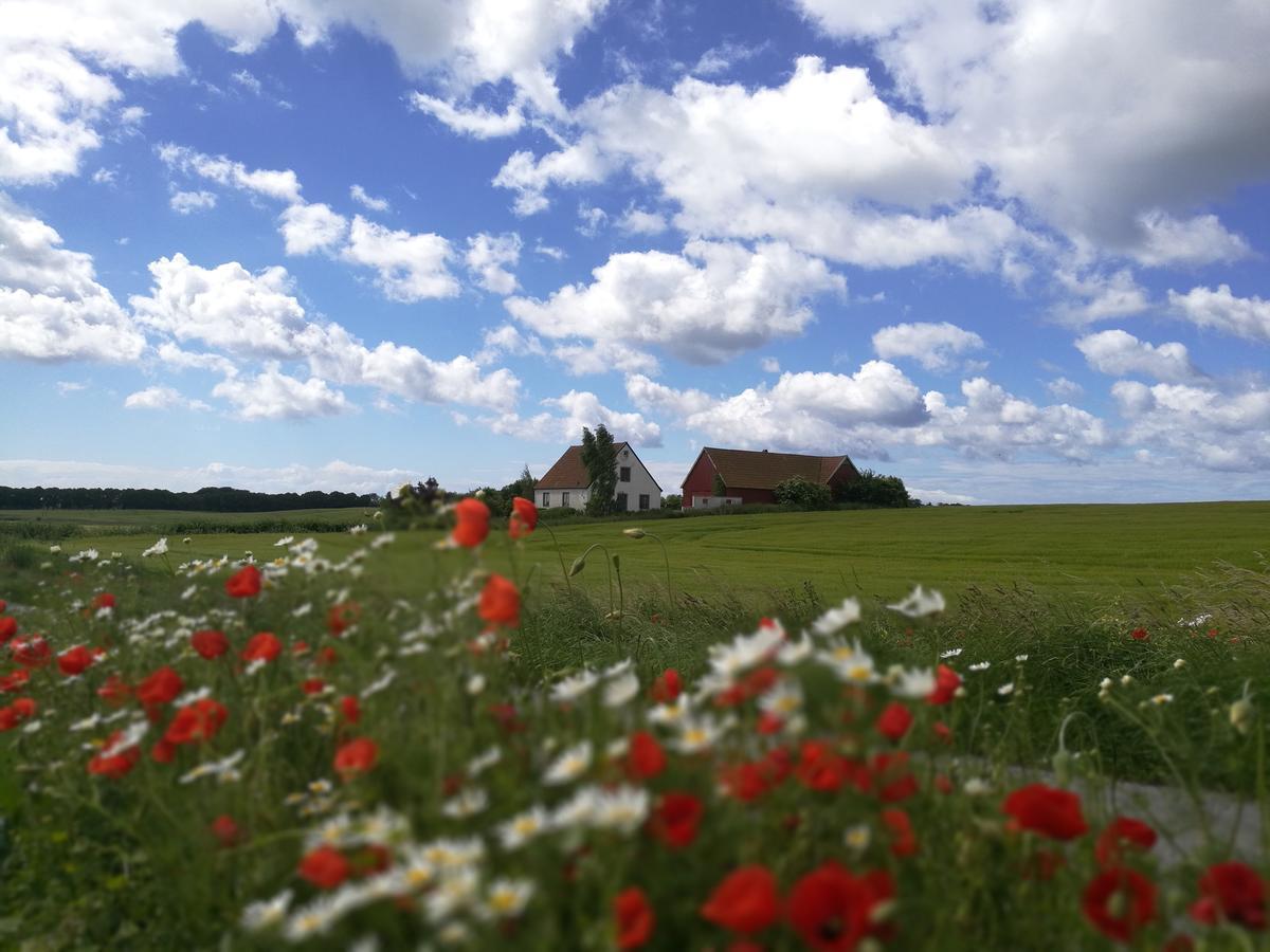 Garden Mellan Slotten Svarte Exterior photo