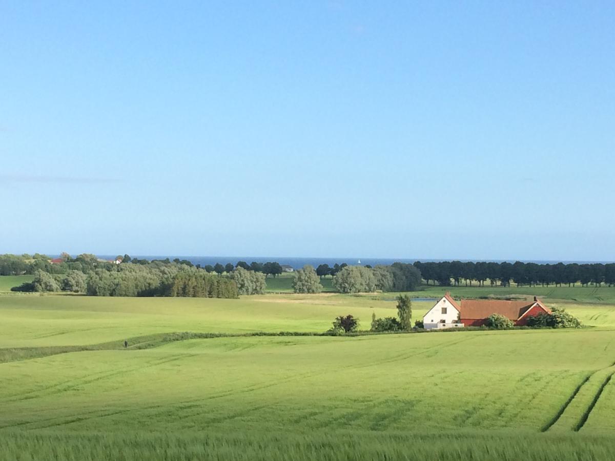 Garden Mellan Slotten Svarte Exterior photo